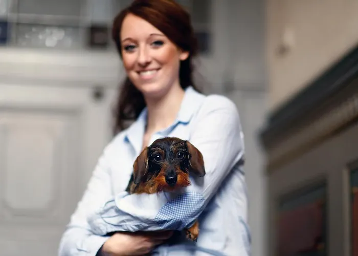 דירה City-apartments Mühlhausen