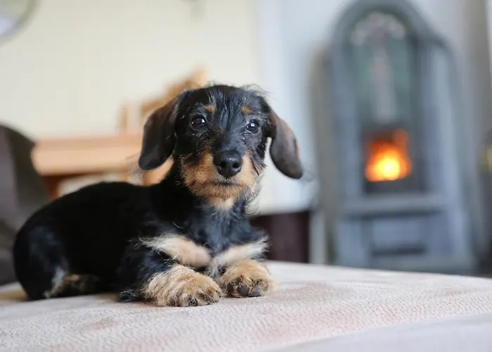 City-apartments דירה Mühlhausen